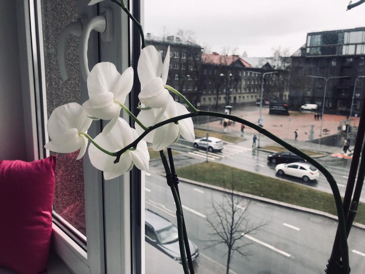 Cozy Central Apartment Tallinn Bagian luar foto